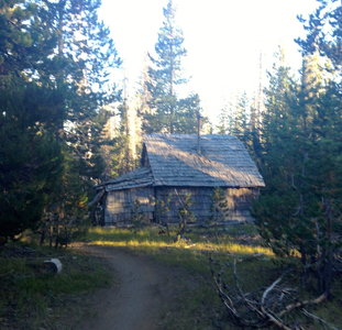 Swampy shelter