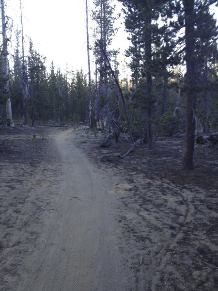 Dusty trails near Swampy Sno-Park