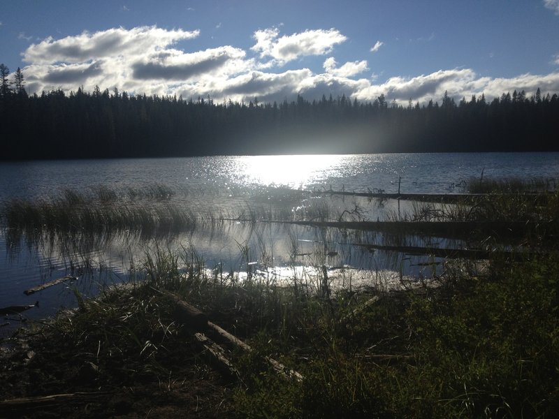 Deer Lake