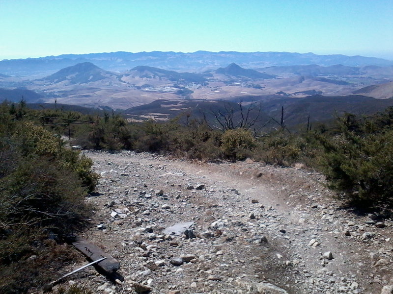 Top of Bottanicals, West Cuesta Ridge