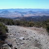 Top of Bottanicals, West Cuesta Ridge