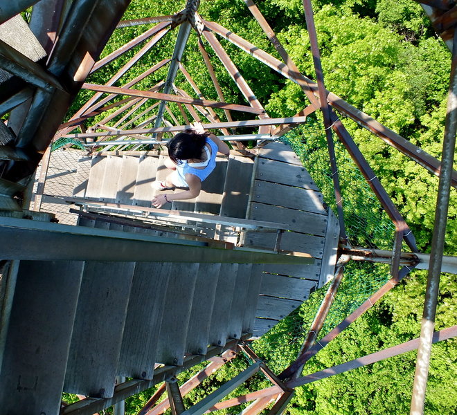 The tower stairs. 7 stories!