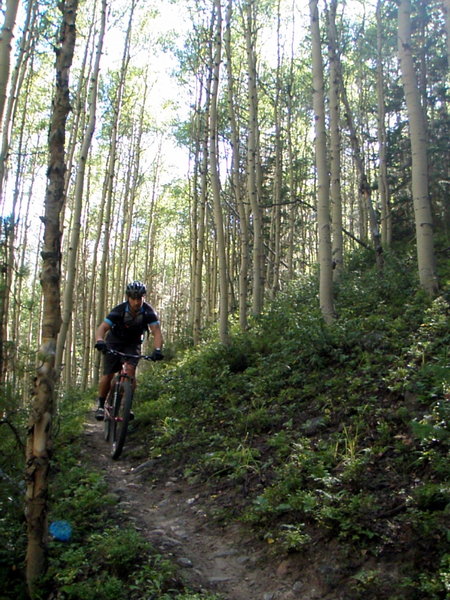 Ripping through the shade of the aspen forest on the lower sections of Green's Creek Trail.