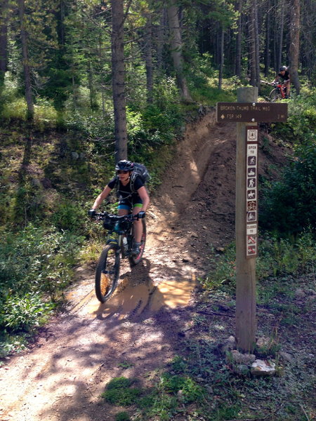 Lower trailhead at junction with Forest Service Road 128.