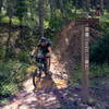 Lower trailhead at junction with Forest Service Road 128.