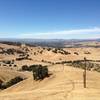 Summit view to Singletrack