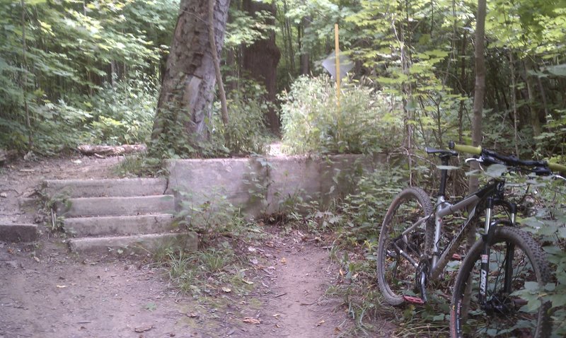 Old stairs and foundation to a house.