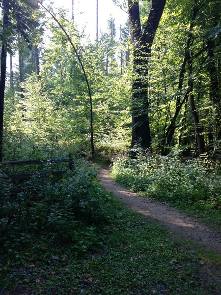 Trail Entrance - Harder Loop