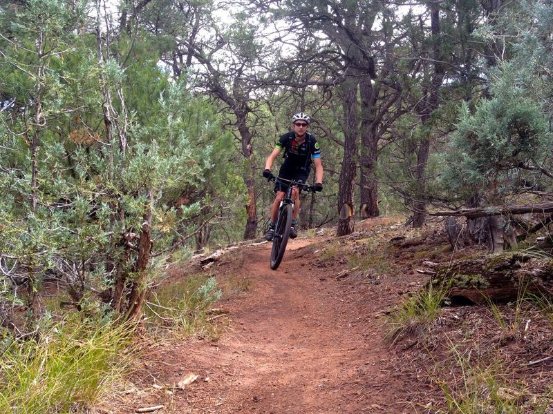 Fun on the Faerie Trail