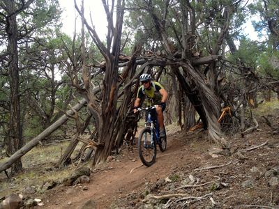 Mountain Bike Trails near Red Hill