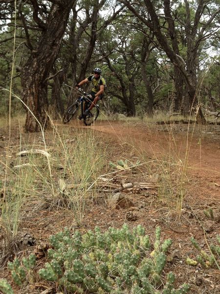 High speed cruise on the Bogus Trail