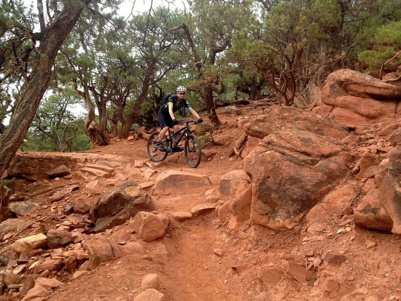 Blue Ribbon has a lot of drops, but is surprisingly rideable, at least downhill!