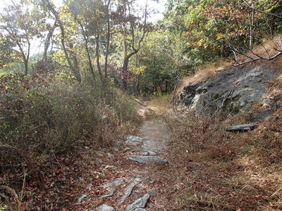 Trail near an overlook of the river.
