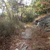 Trail near an overlook of the river.