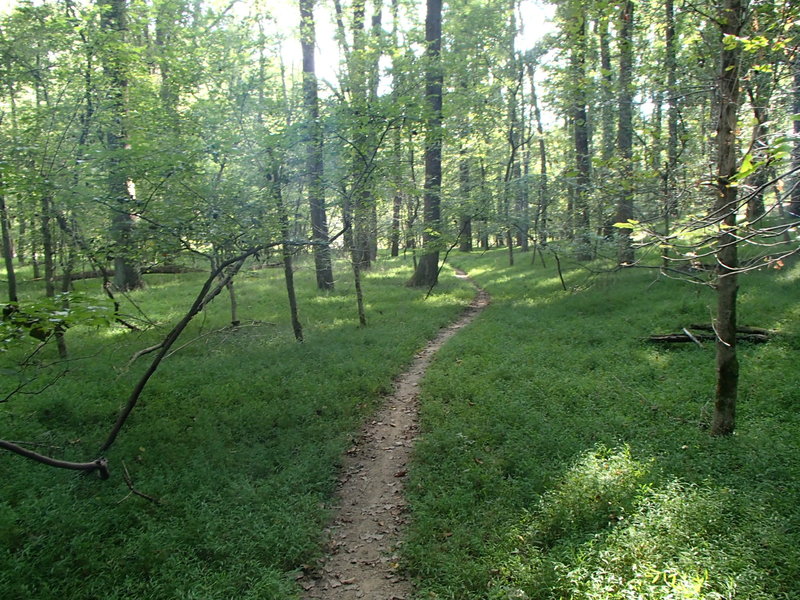 Singletrack