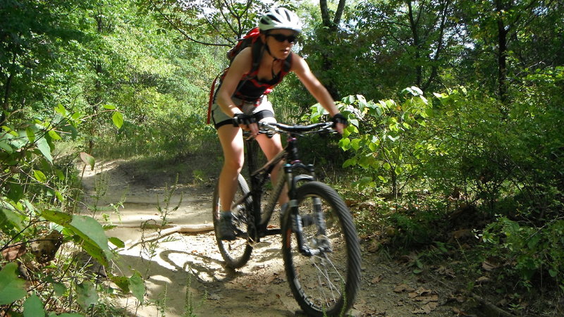 A short downhill headed north on the North Gate Connector Trail.