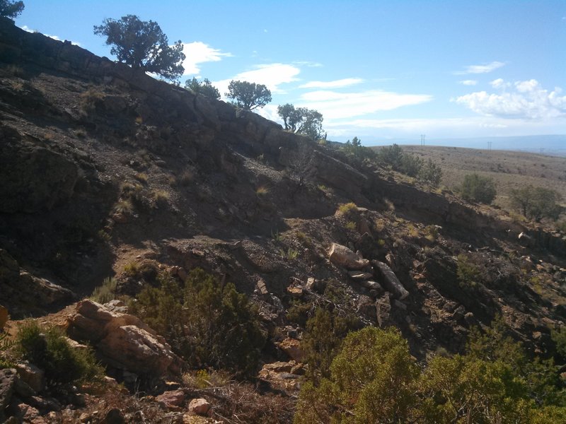 High desert singletrack