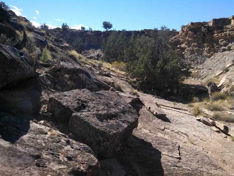 One of the many rocky drainages you'll encounter.