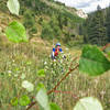 K enjoying the lower aspen groves