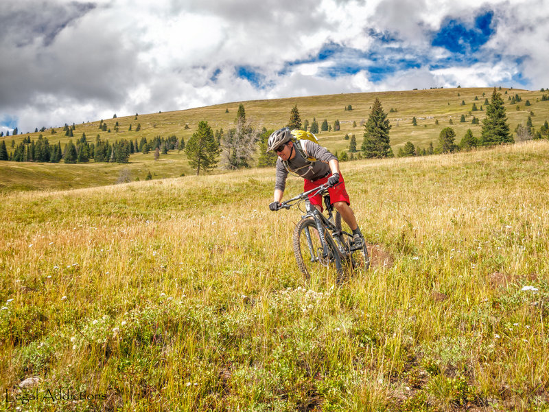 Thomas zig'n and zag'n through vail resorts outer Mongolian Bowl