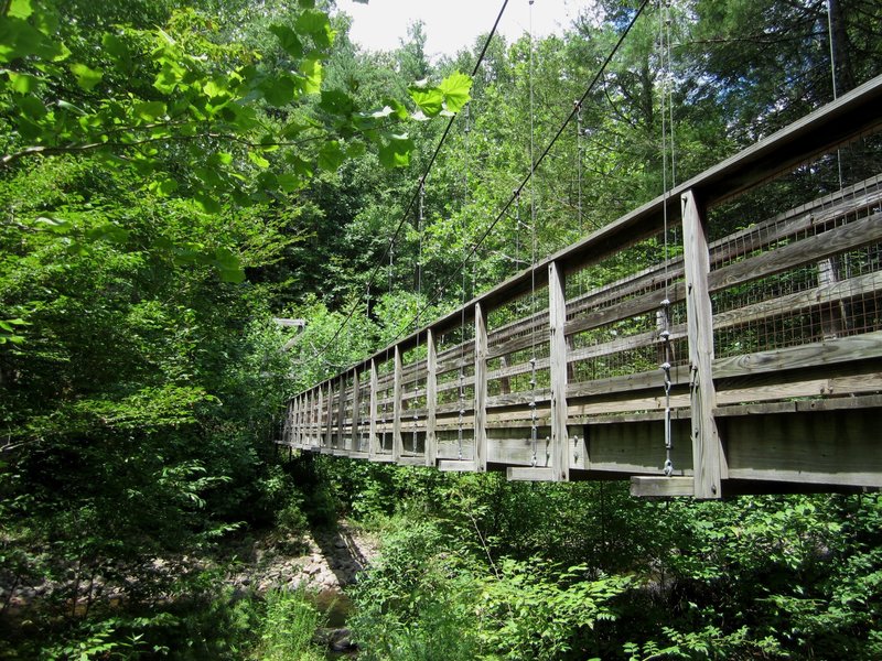 Suspension Bridge over North River