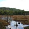 Woronoco Overlook