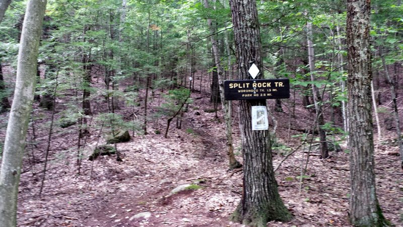 Split Rock / Shaw Trail intersection