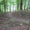 ...a turn overlooking the Ken-O-Sha "wetlands'.