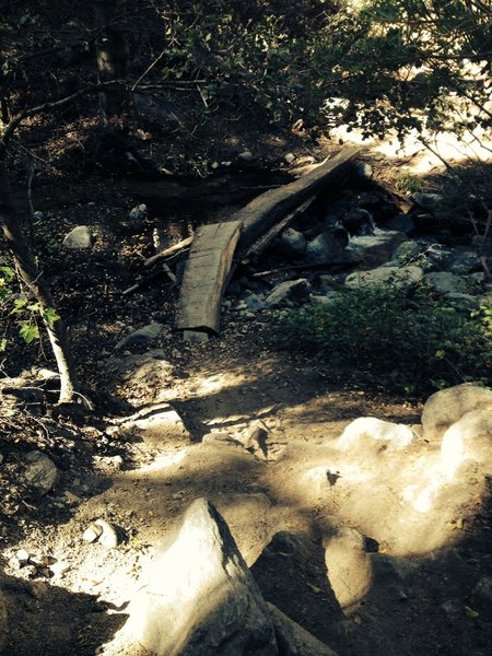 3rd Creek Crossing. Requires god control down a step bank to the narrow log bridge