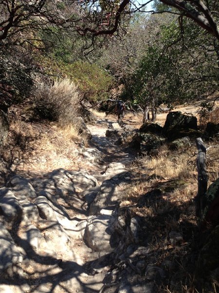 Short rocky gully one direction leads to Cave Trail the other to the Rock Garden both are harder than this....