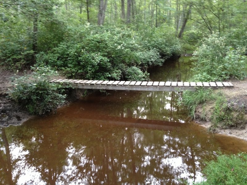 Long skinny bridge over western branch.