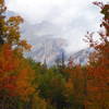 Bristol Head Peak through the trees.