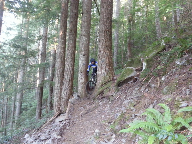 Watch yer bars! 30" bars barely make it through clean. Many riders have been thrown 20' vertically down the hill onto rock piles.