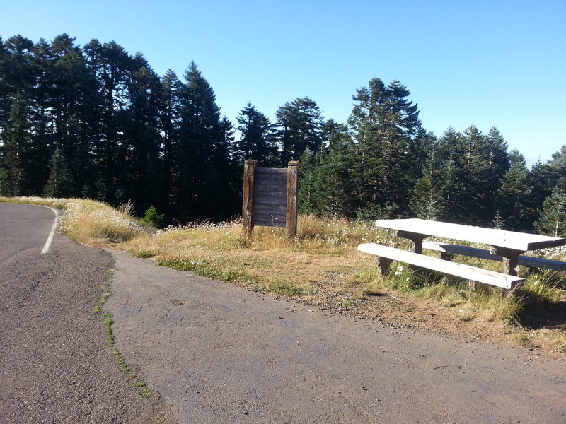 North Ridge unmarked trailhead at the entrance to the Mary's peak parking lot