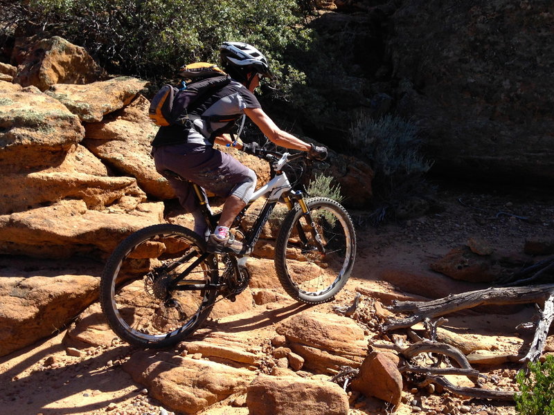 Typical section of trail on Hidden Canyon