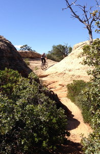 Typical short, but steep climb.