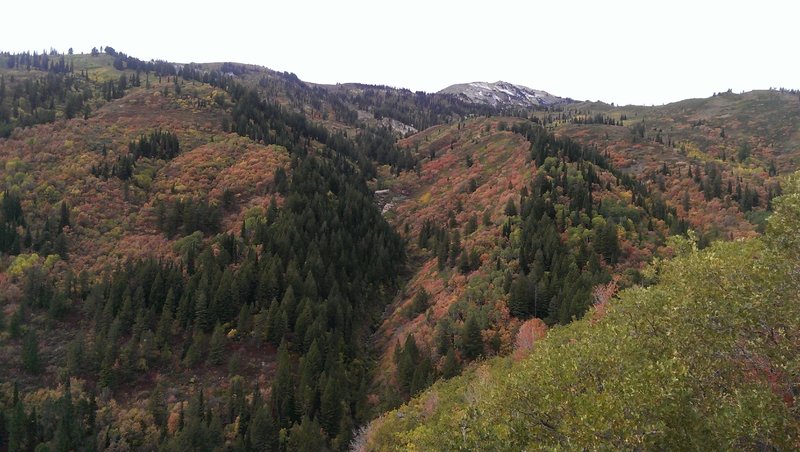 Mule's Ear Overlook