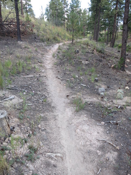 Climbing toward San Ildefonso circle.