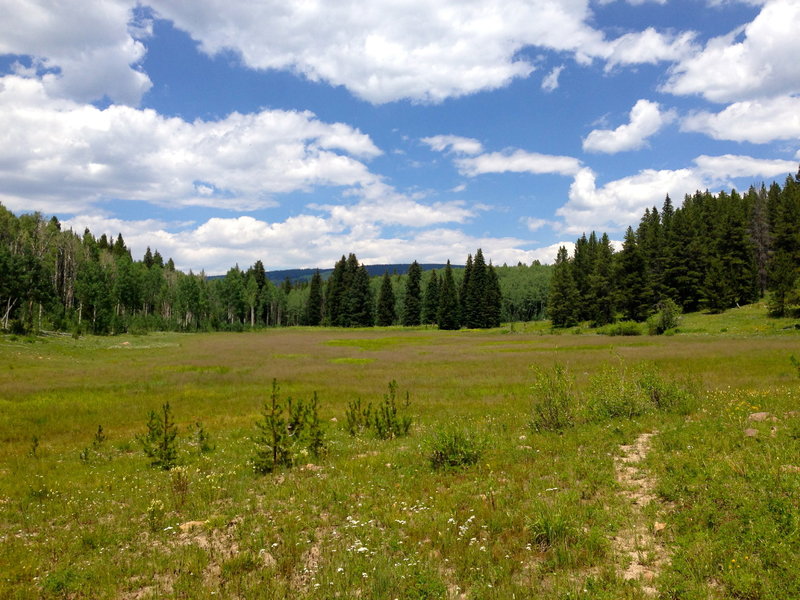 Toner Reservoir