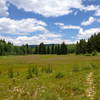 Toner Reservoir