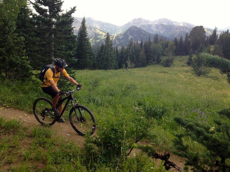 Large views over Big Cottonwood Canyon make this trail a favorite.