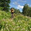 If the big mountain views don't win you over, the wildflowers might!