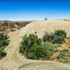 A series of steep climbs are found on the north end of the loop overlooking the Colorado River