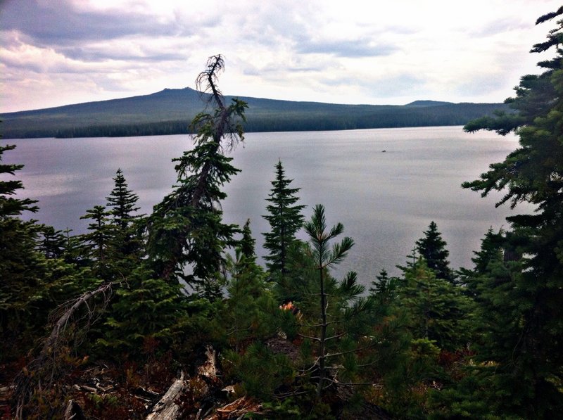 Tranquil Waldo lake