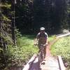 Excellent wooded singletrack