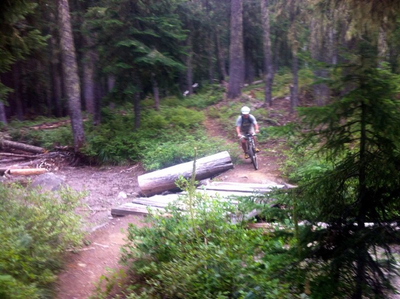 Lots of small wooden bridge crossings