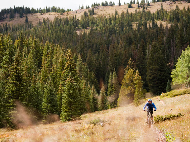 Tight singletrack in the high meadows of Silver Creek trail