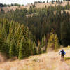 Tight singletrack in the high meadows of Silver Creek trail