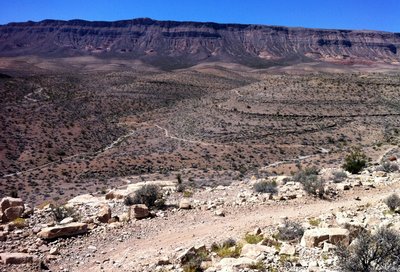 Mountain Bike Trails near Bear s Best