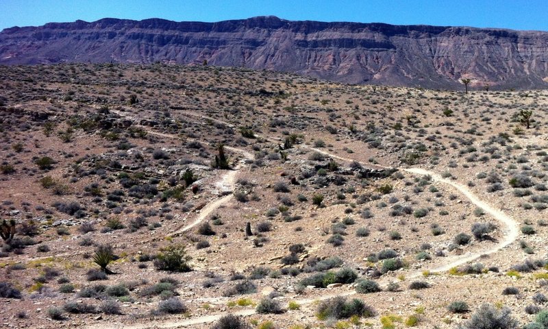 Another great view of Bears Best snaking around through the Joshua Trees